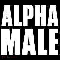 Nick Adams Alpha Male Hoodie thumb 7