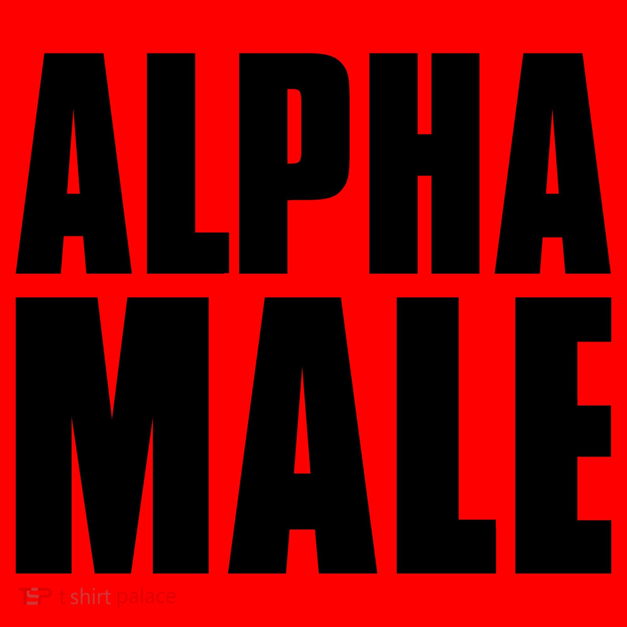 Nick Adams Alpha Male Santa Hat