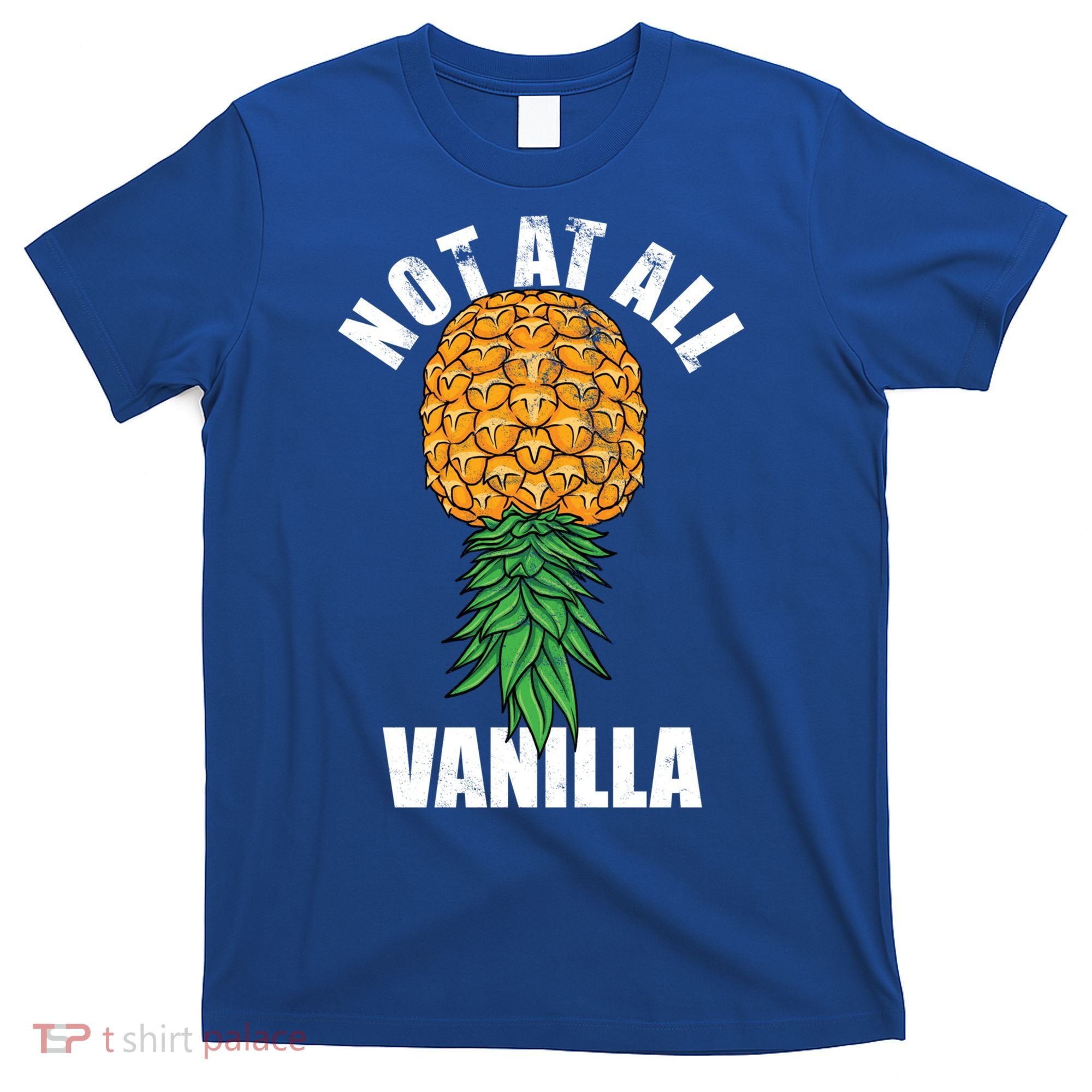 Not At All Vanilla Swinger Upside Down Pineapple Gift T-Shirt