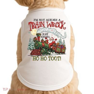 Not Always A Train Wreck Christmas Funny Santa Doggie Tank