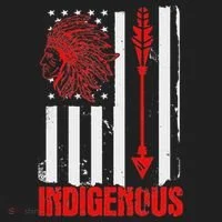 Native American Flag Women's Sweatshirt thumb 2