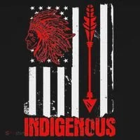 Native American Flag Button thumb 1