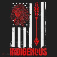 Native American Flag Tumbler thumb 3