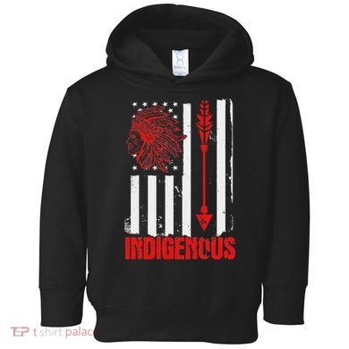 Native American Flag Toddler Hoodie