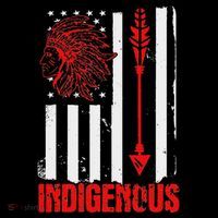 Native American Flag Women's T-Shirt thumb 6