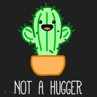 Not A Hugger Cactus Cute Kawaii Do Not Hug Meme Funny Gift Women's Sweatshirt thumb 2