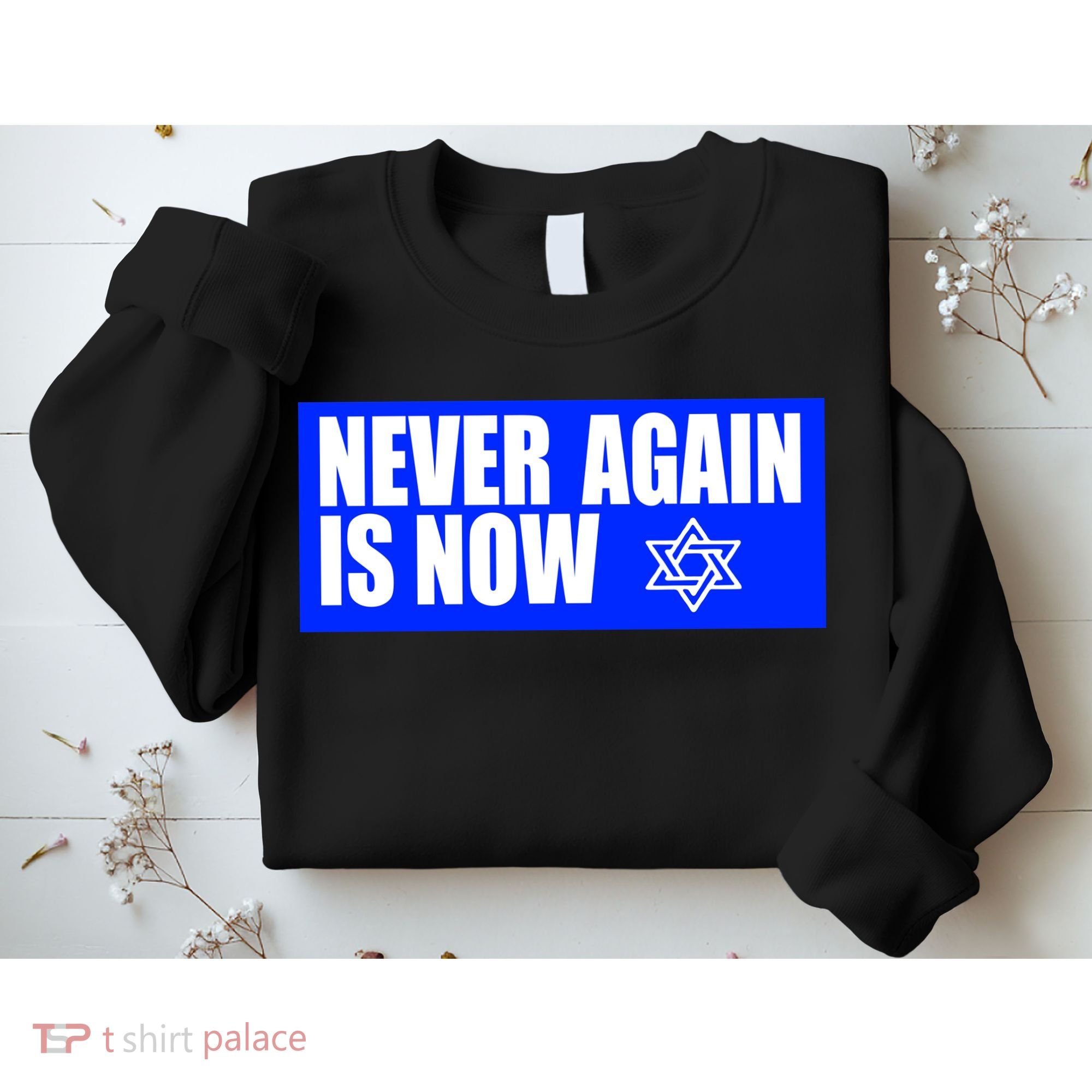 Never Again Is Now Jewish Israel Pride Am Yisrael Chai Sweatshirt