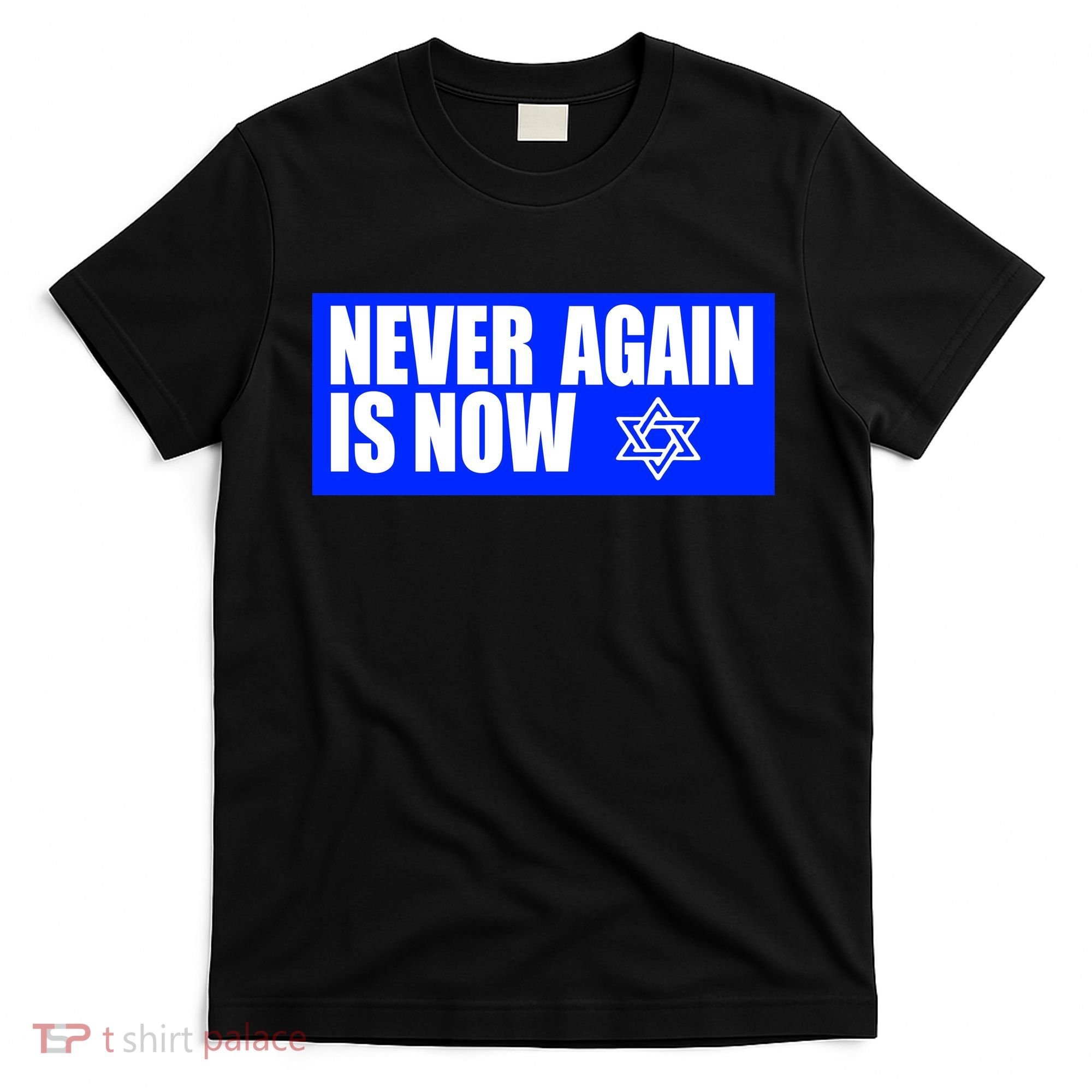 Never Again Is Now Jewish Israel Pride Am Yisrael Chai T-Shirt
