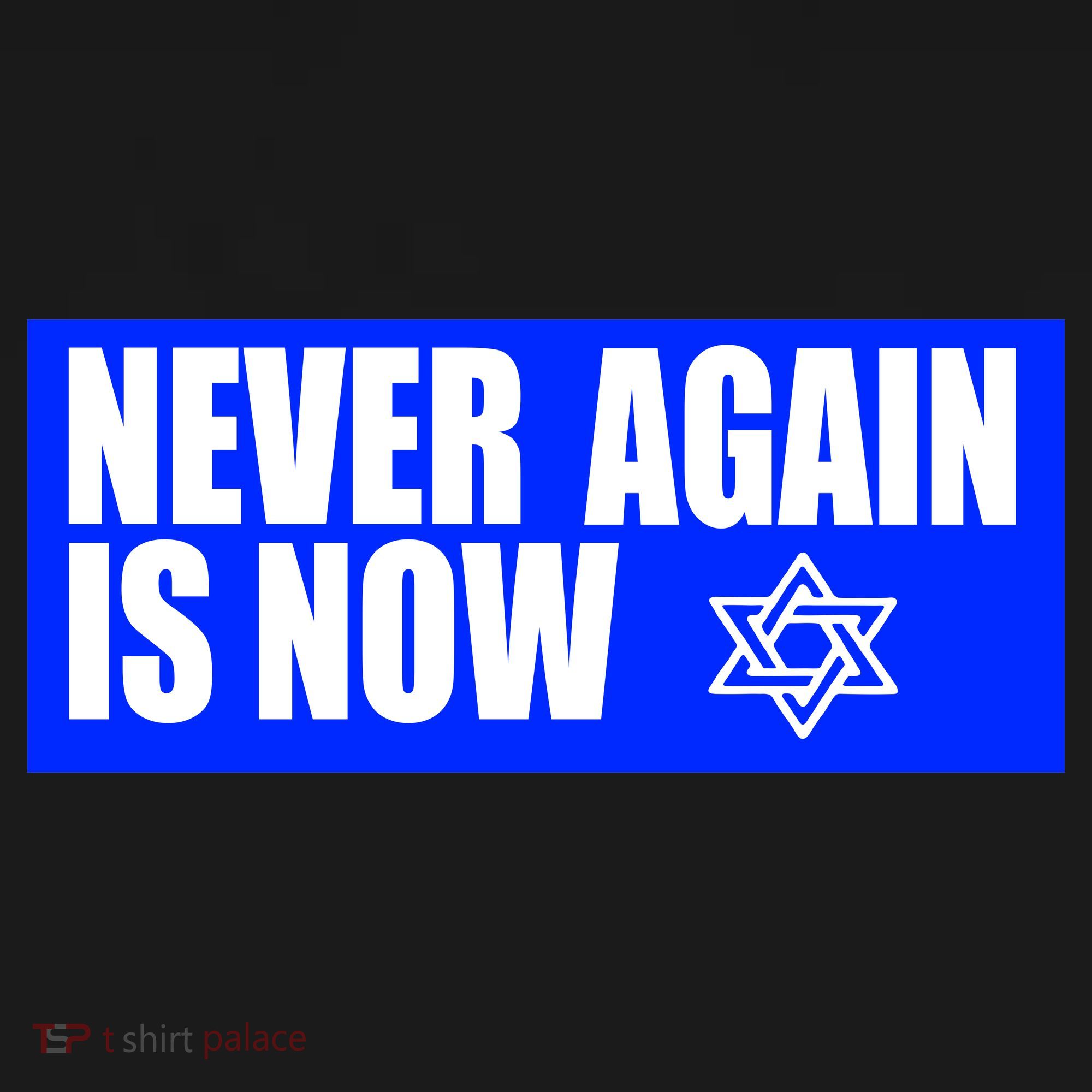 Never Again Is Now Jewish Israel Pride Am Yisrael Chai T-Shirt