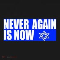 Never Again Is Now Jewish Israel Pride Am Yisrael Chai Women's Hoodie thumb 2