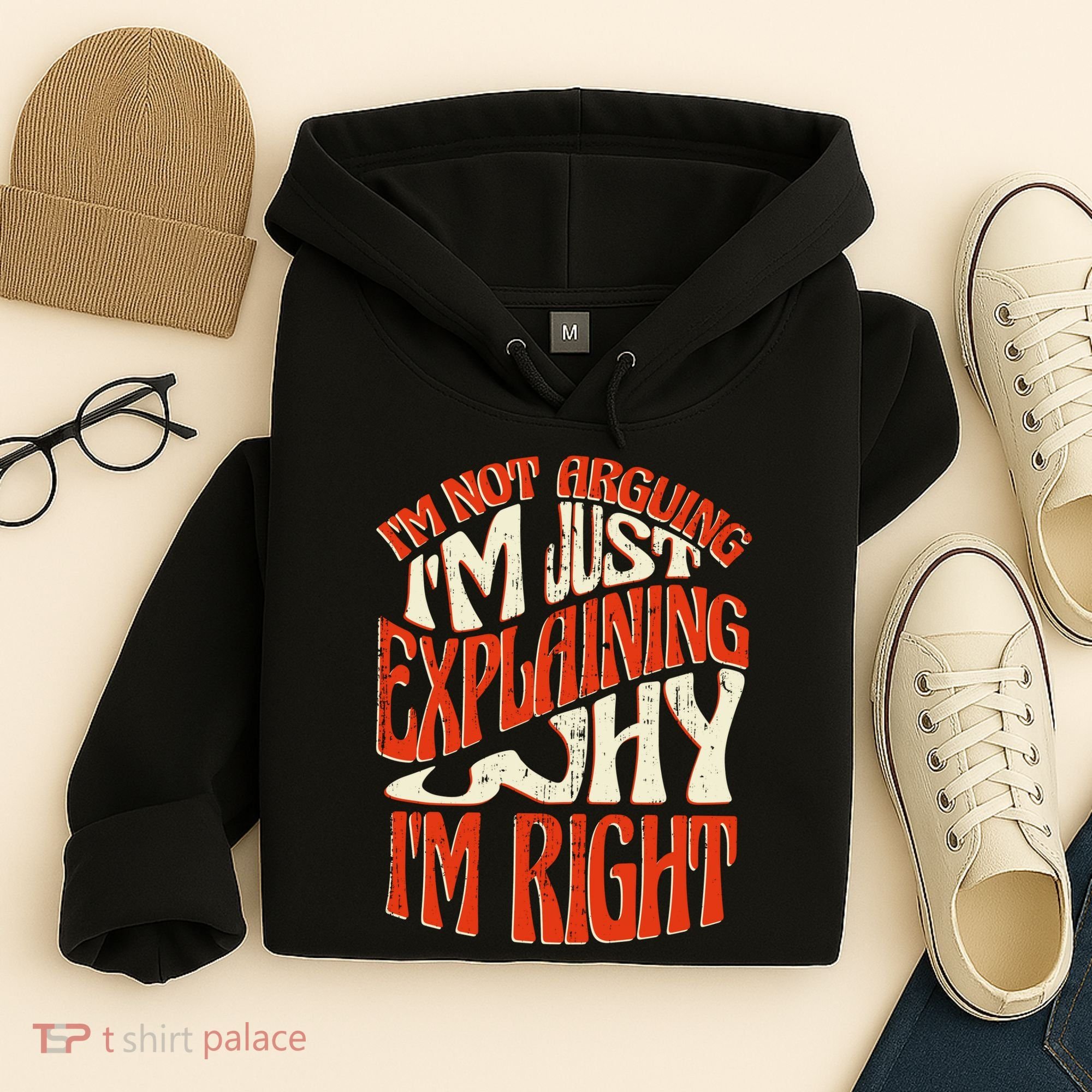 Not Arguing I'm Just Explaining Why I'm Right Hoodie