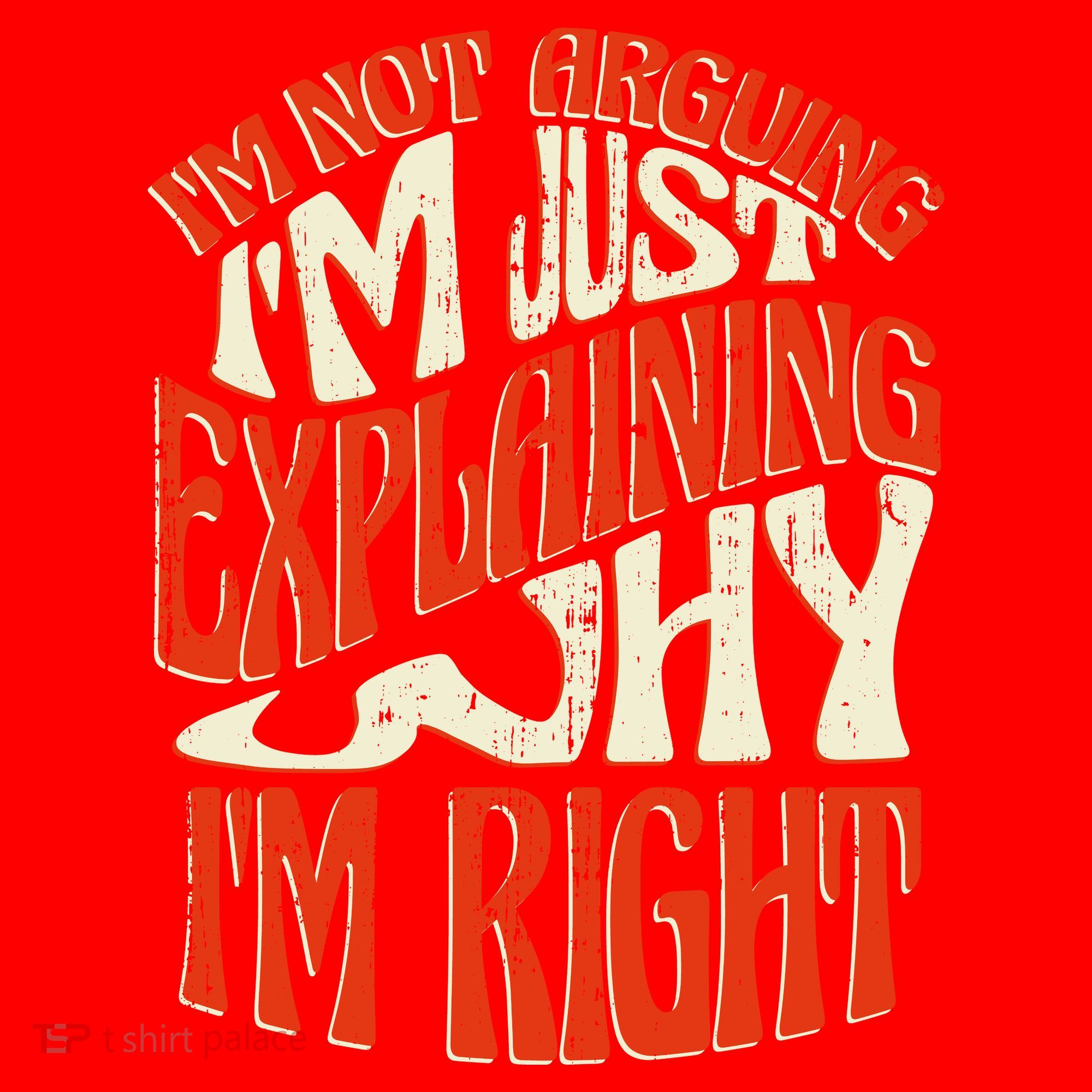 Not Arguing I'm Just Explaining Why I'm Right Santa Hat