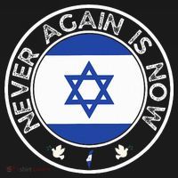 Never Again Is Now  Support for Jews and Israel  Women's Hoodie thumb 2