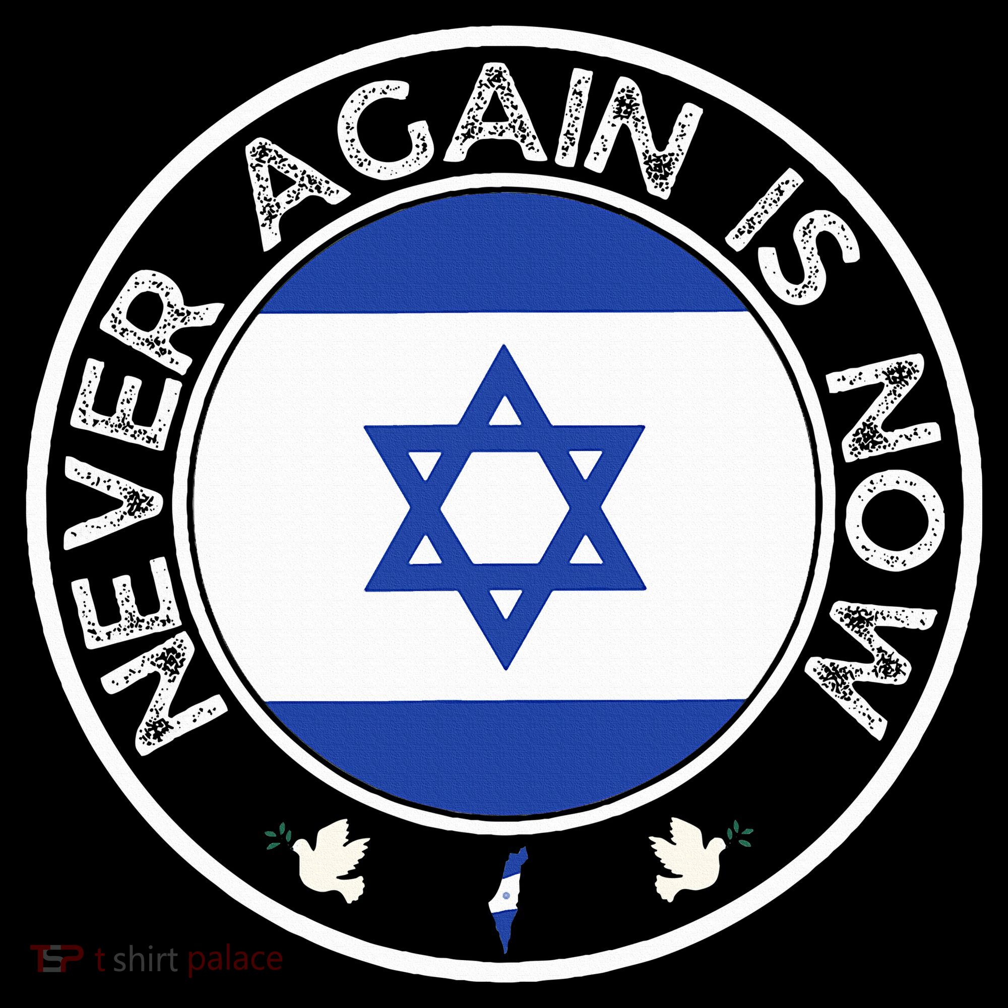 Never Again Is Now  Support for Jews and Israel  Women's Hoodie