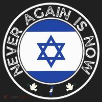 Never Again Is Now  Support for Jews and Israel  Hat thumb 2