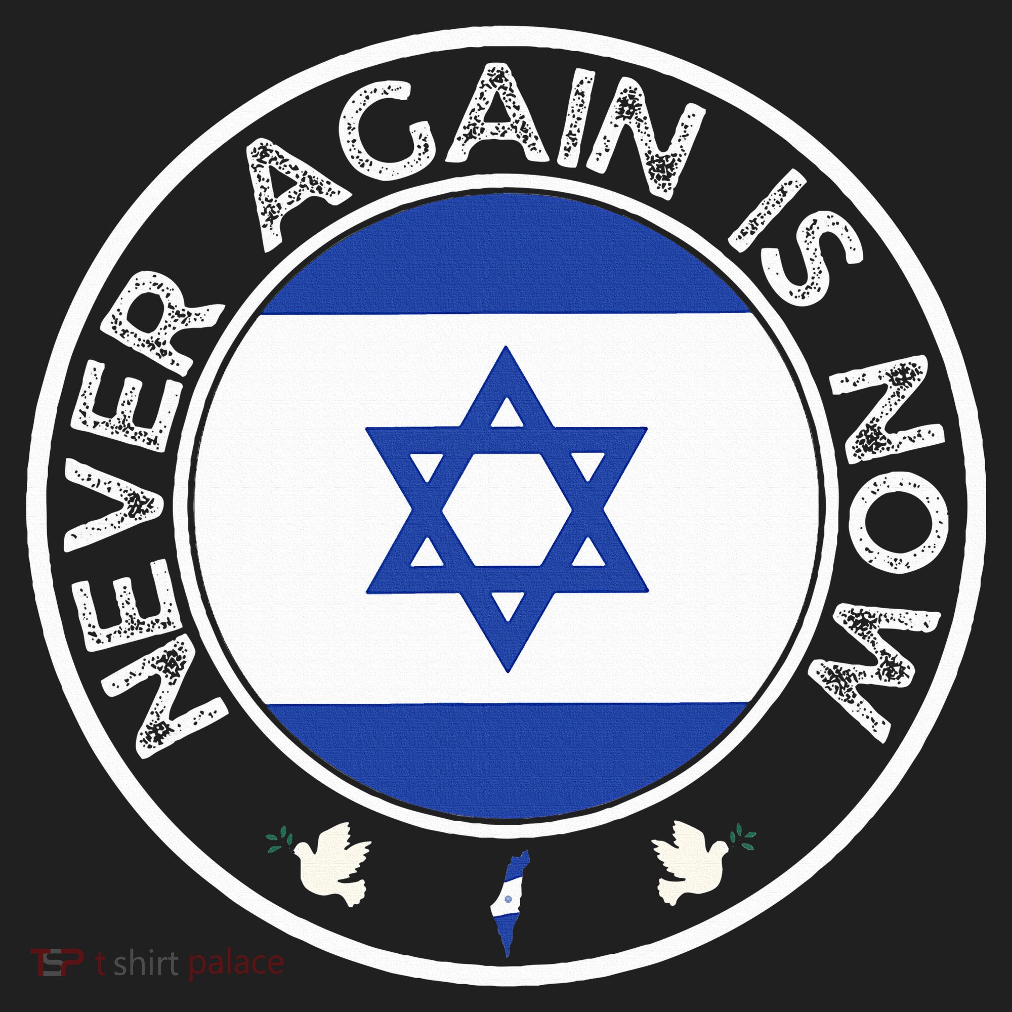 Never Again Is Now  Support for Jews and Israel  Hat