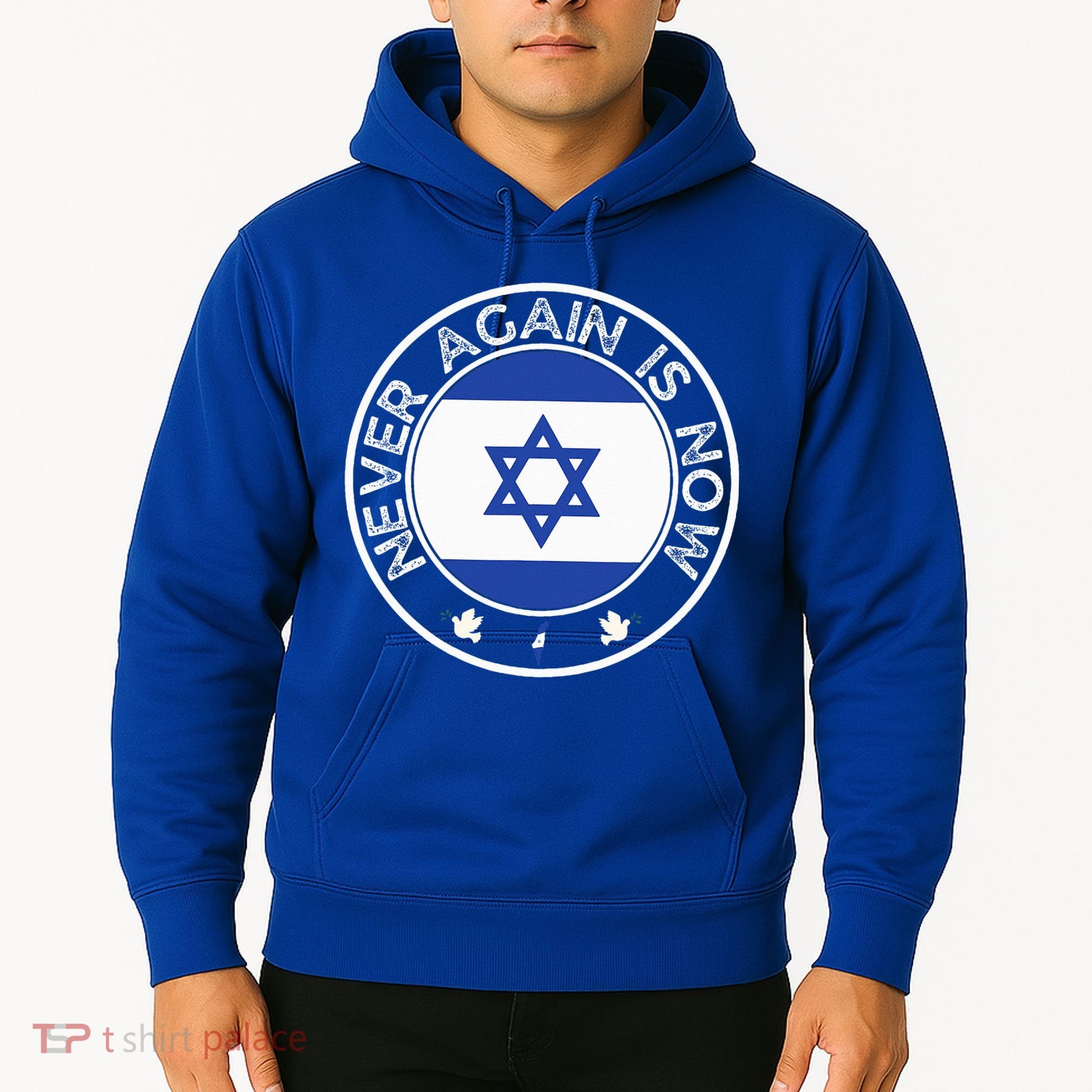 Never Again Is Now  Support for Jews and Israel  Hoodie