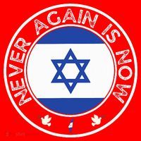 Never Again Is Now  Support for Jews and Israel  Santa Hat thumb 1