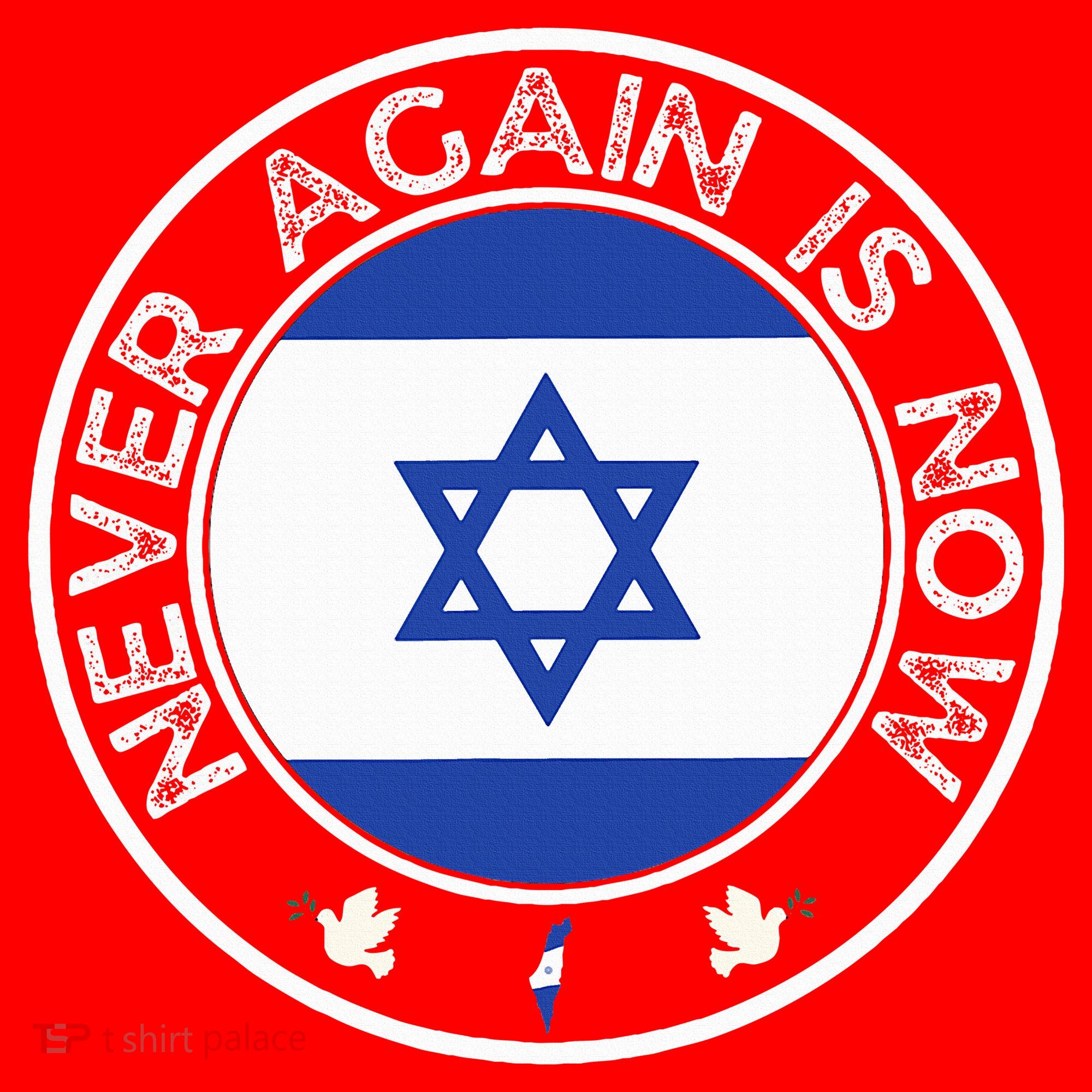 Never Again Is Now  Support for Jews and Israel  Santa Hat