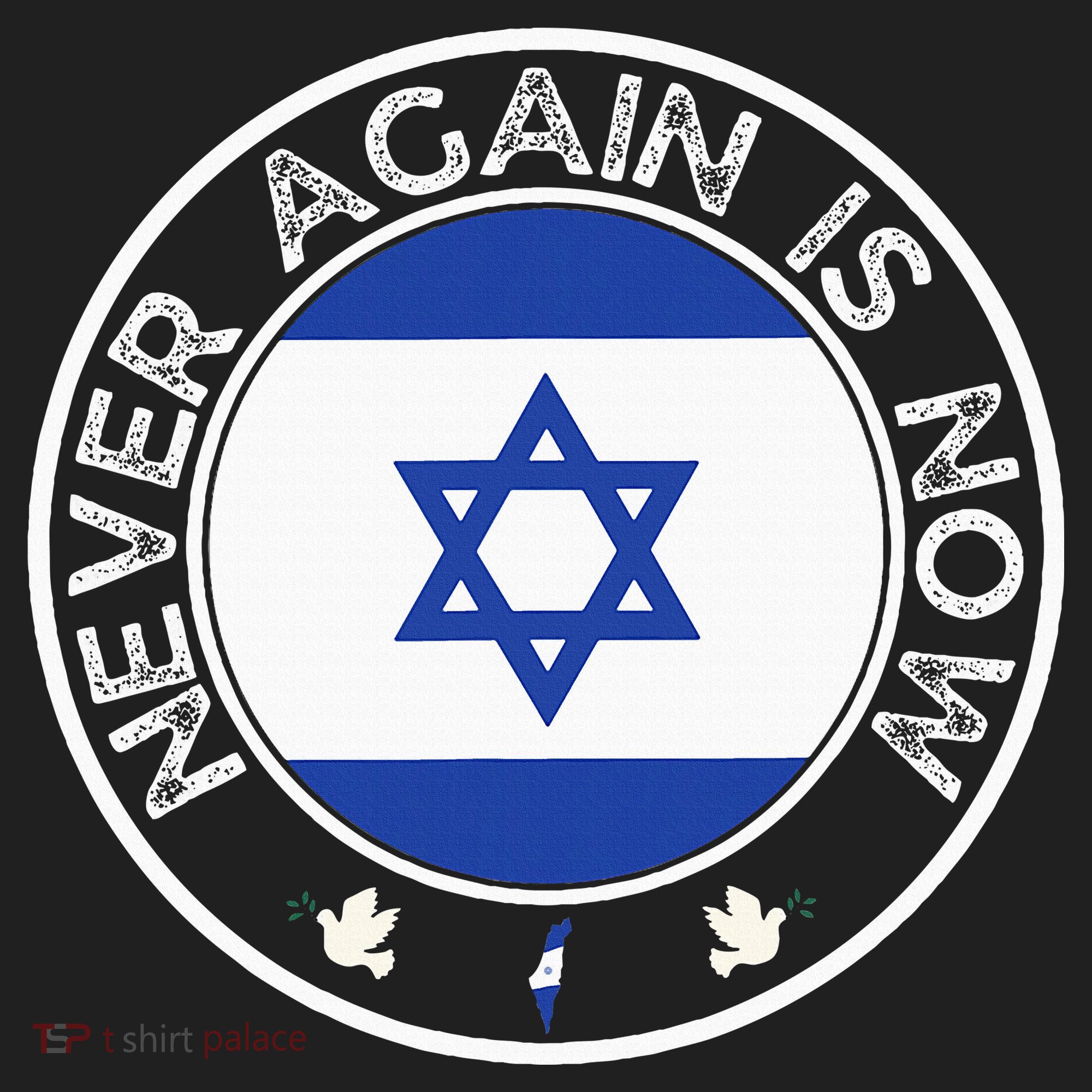Never Again Is Now Support For Jews And Israel Women's Sweatshirt
