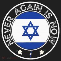 Never Again Is Now Support For Jews And Israel Beanie thumb 2