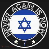 Never Again Is Now Support For Jews And Israel Women's Hoodie thumb 2