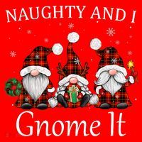 Naughty And I Gnome It Buffalo Red Plaid Christmas Gnomes Hoodie thumb 2
