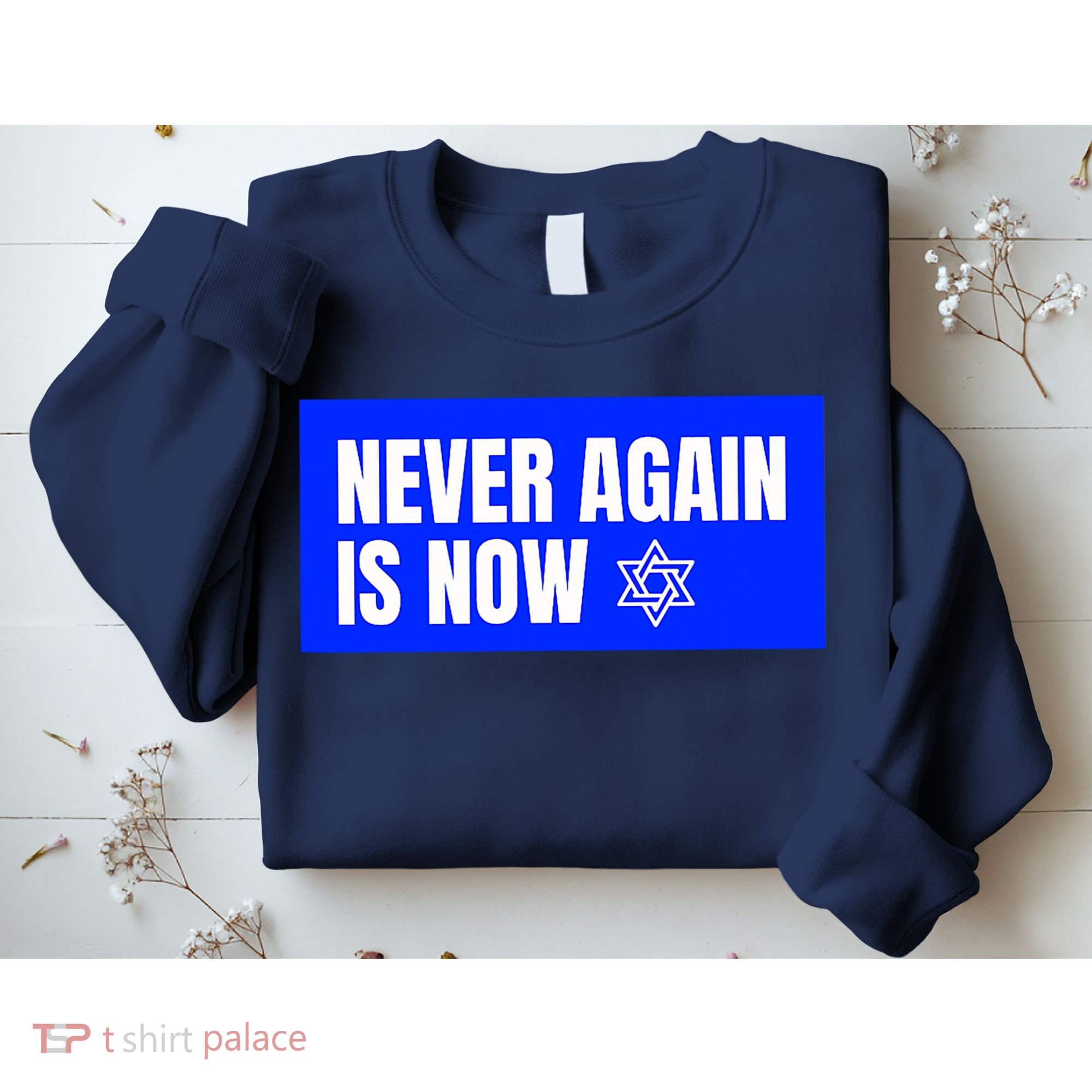Never Again Is Now Jewish Israel Pride Am Yisrael Chai Sweatshirt