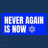 Never Again Is Now Jewish Israel Pride Am Yisrael Chai Women's Hoodie thumb 2