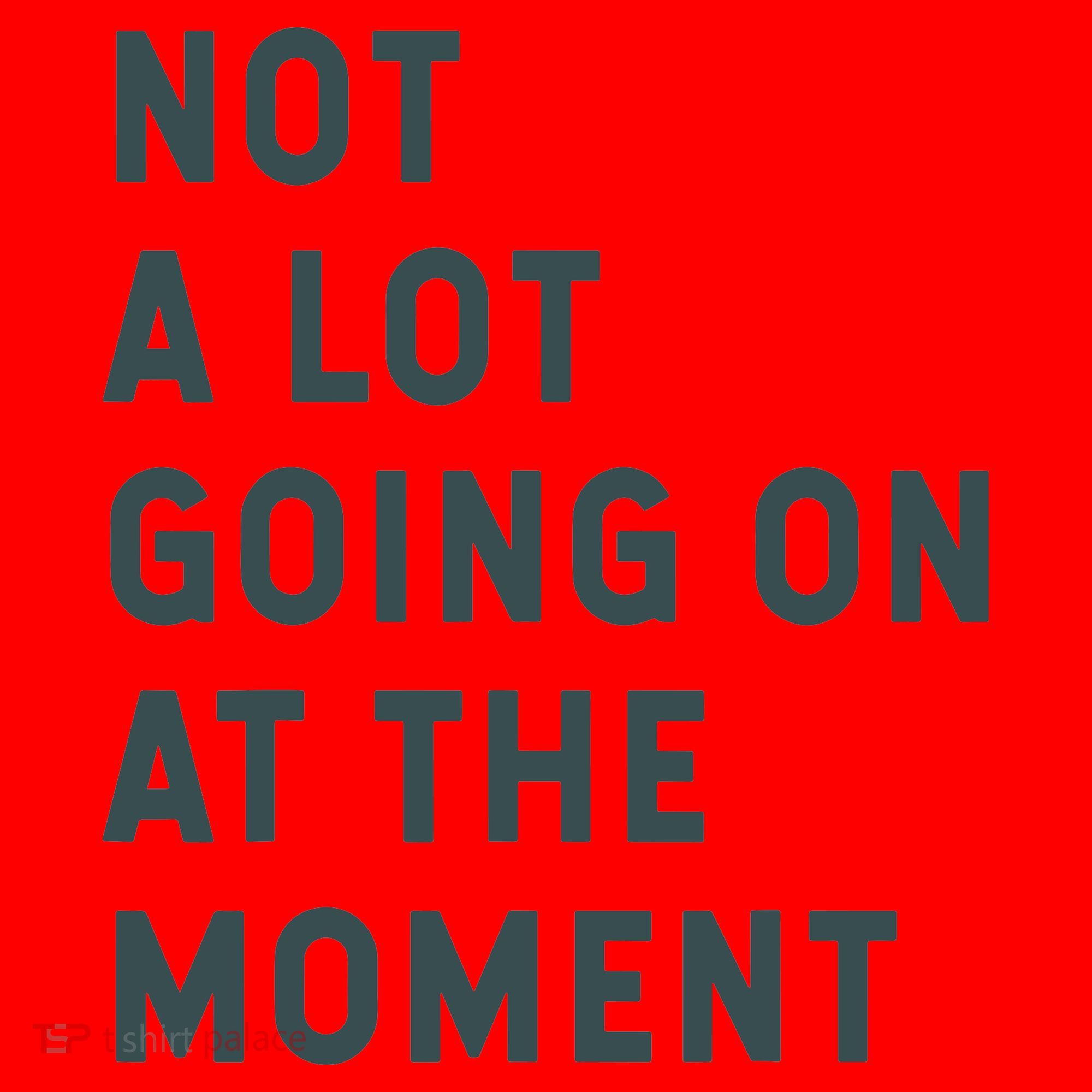 Not A Lot Going On At The Moment Humor Santa Hat