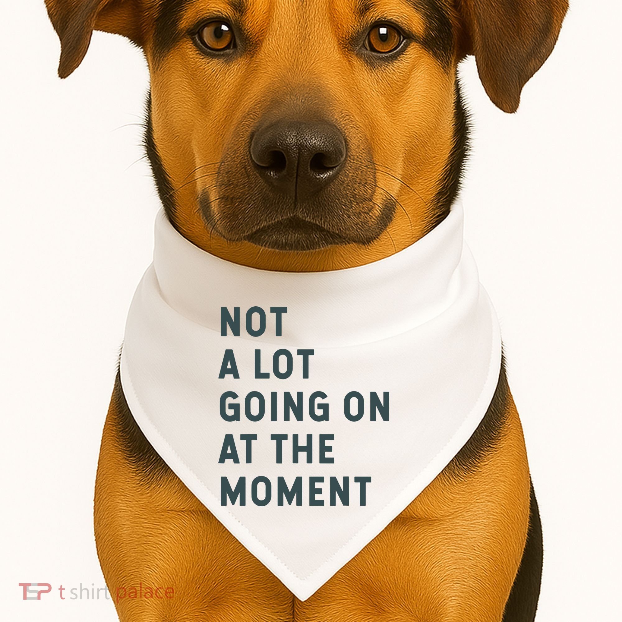 Not A Lot Going On At The Moment Humor USA-Made Doggie Bandana