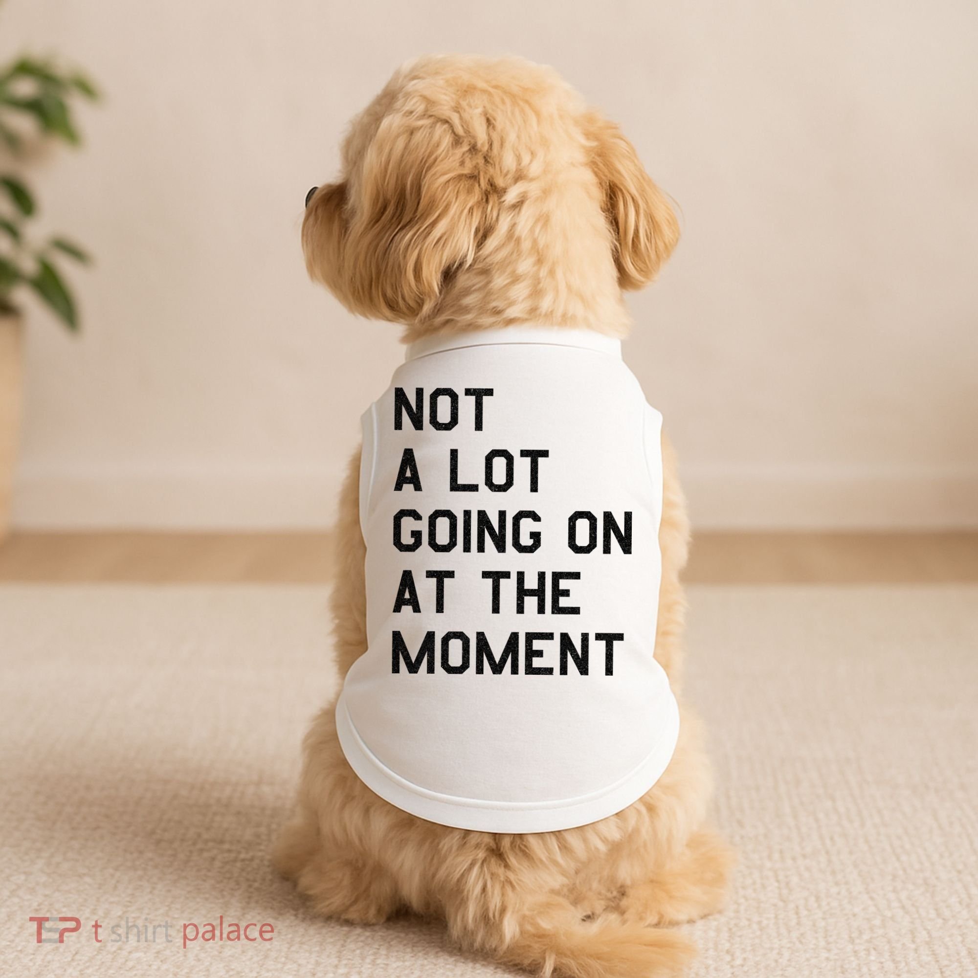 Not A Lot Going On At The Moment Doggie Tank