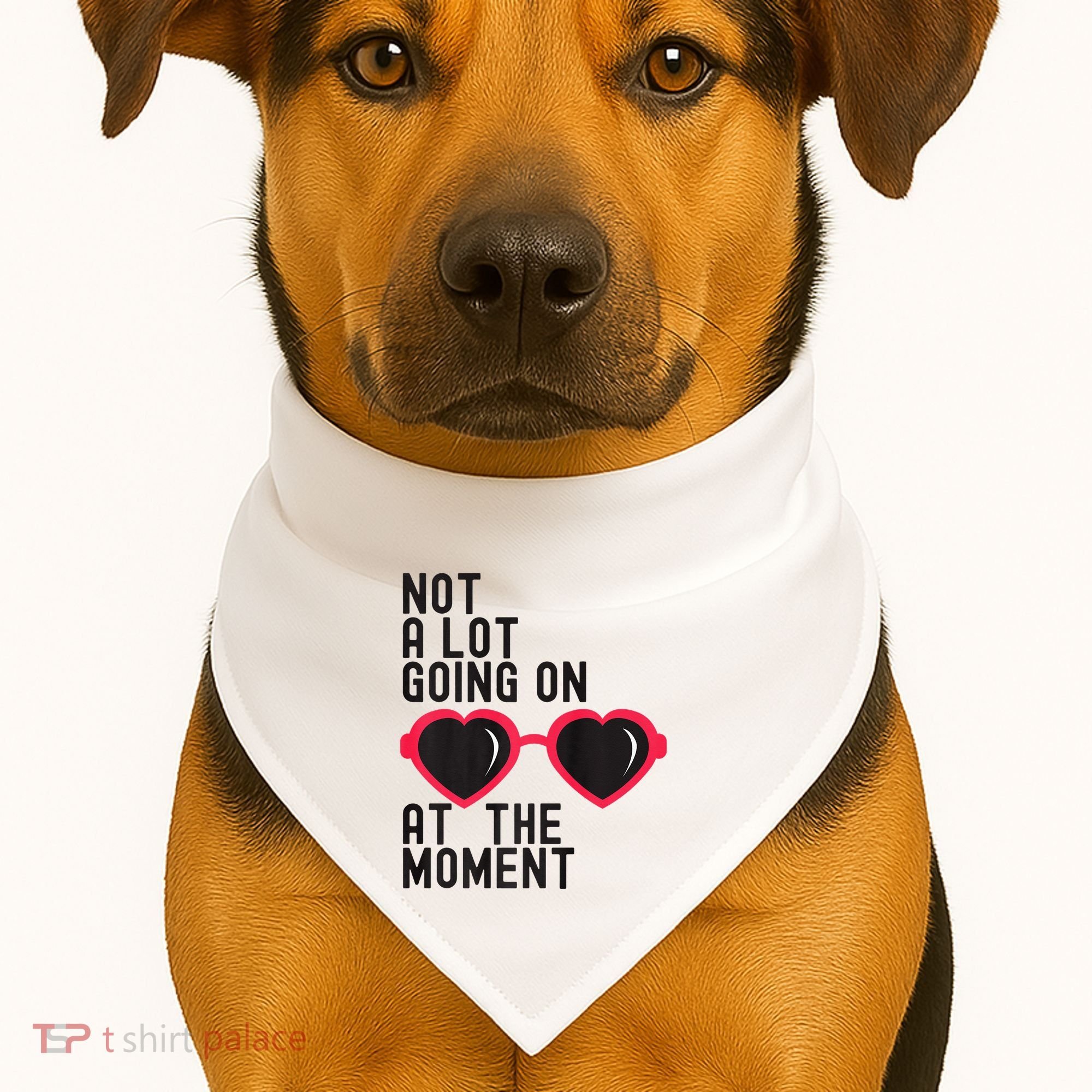 Not A Lot Going On At The Moment USA-Made Doggie Bandana