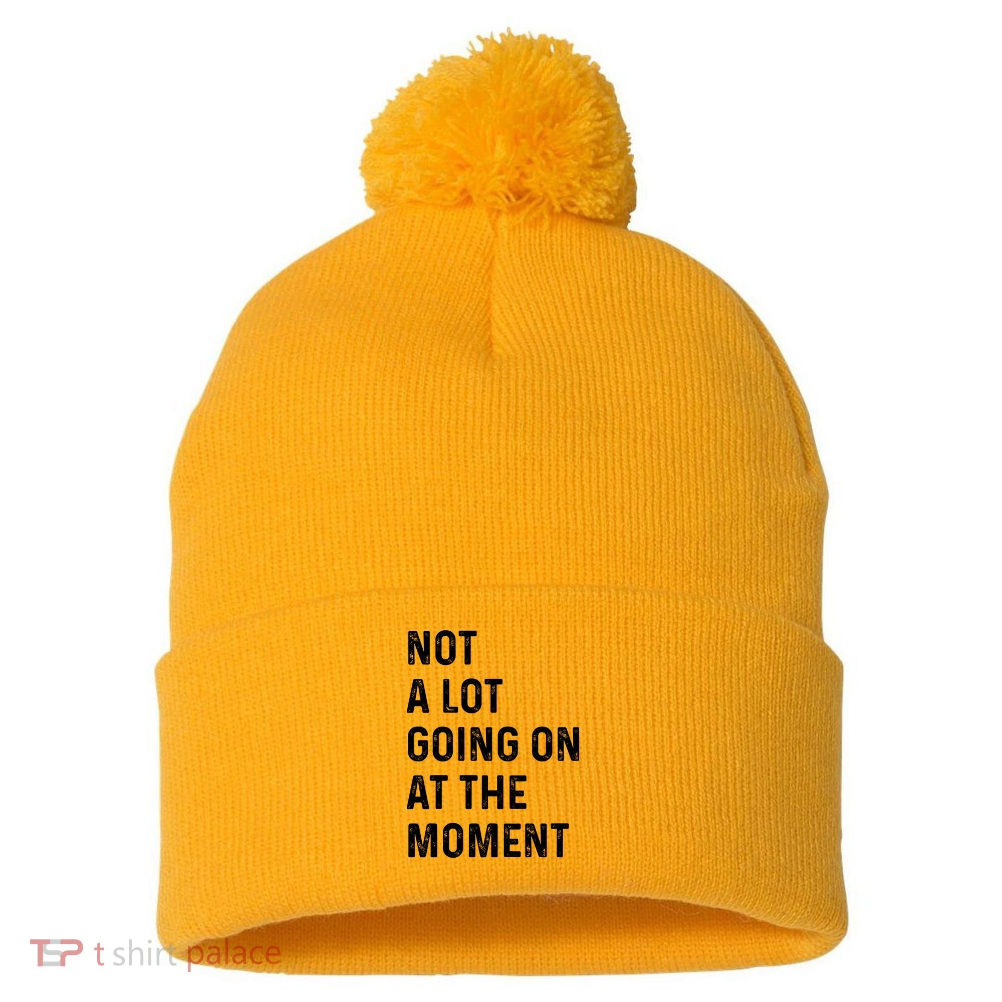 Not A Lot Going On At The Moment Pom Pom 12in Knit Beanie