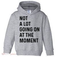 Not A Lot Going On At The Moment Toddler Hoodie thumb 0