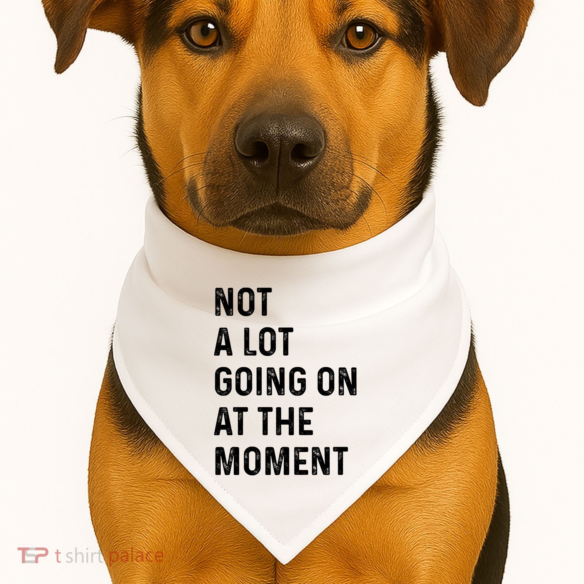 Not A Lot Going On At The Moment USA-Made Doggie Bandana