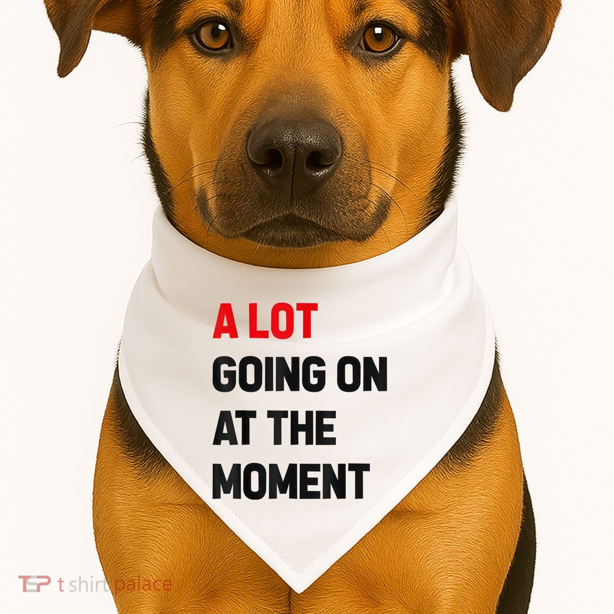 Not A Lot Going On At The Moment USA-Made Doggie Bandana