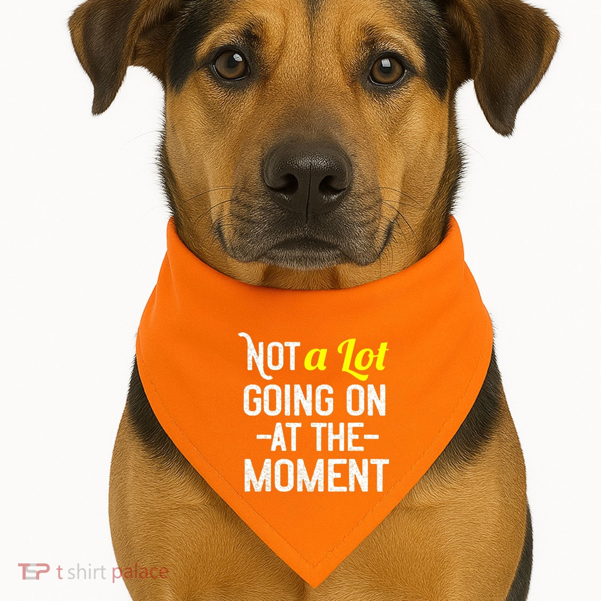 Not A Lot Going On At The Moment USA-Made Doggie Bandana