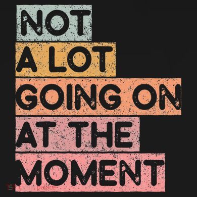 Not a Lot Going on at the Moment Women's T-Shirt