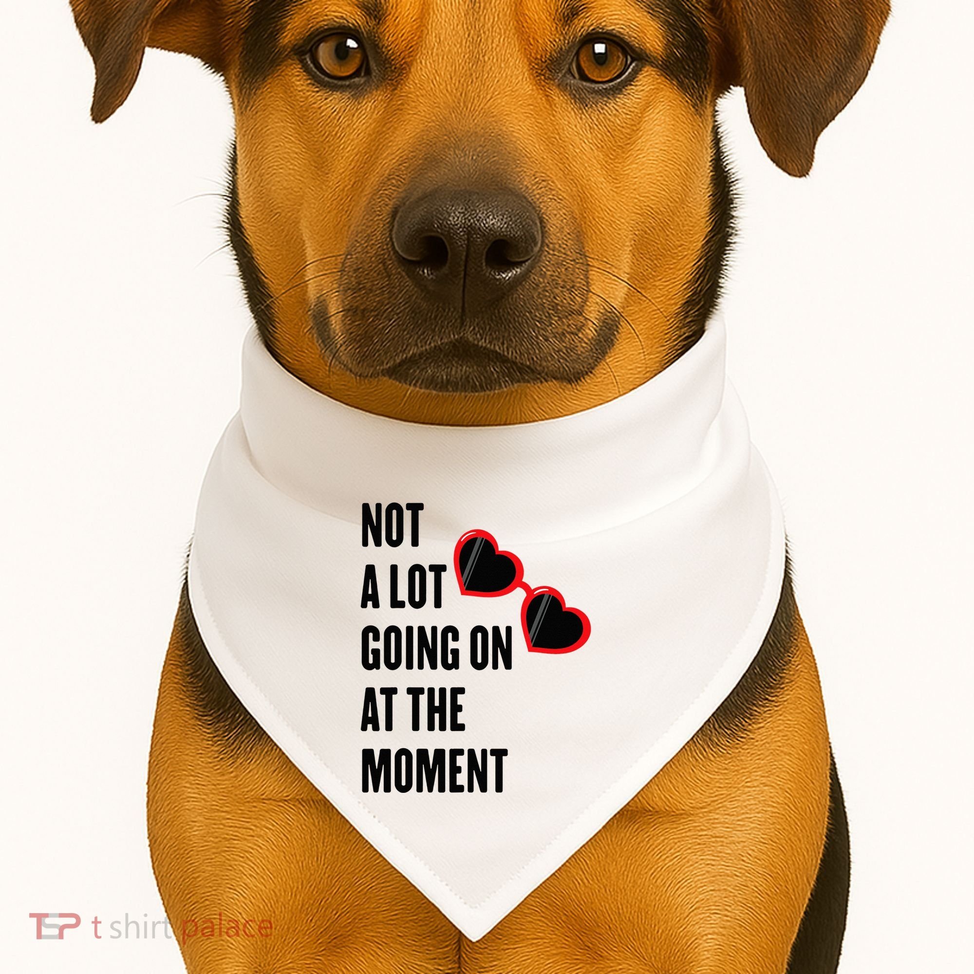 Not A Lot Going On At The Moment Retro USA-Made Doggie Bandana