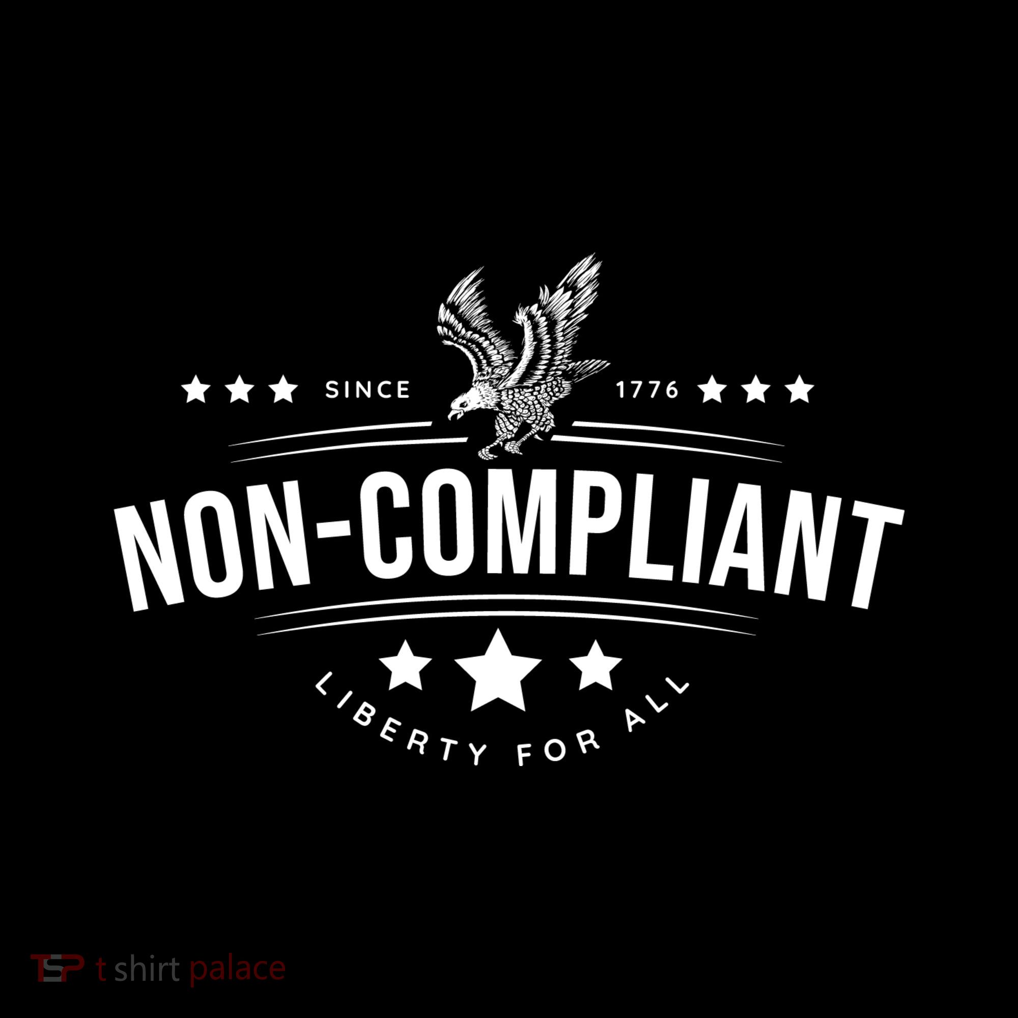 Non–Compliant America Kids Sweatshirt