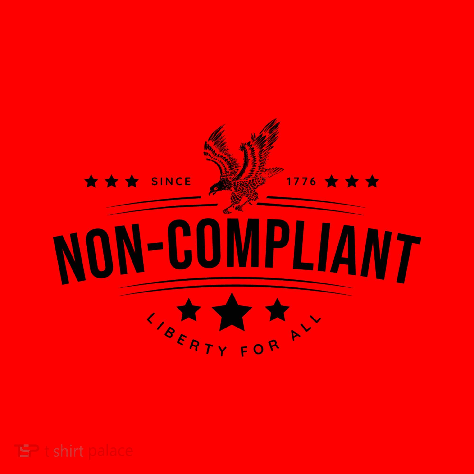 Non–Compliant America Santa Hat