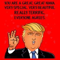 Nana Donald Trump Santa Hat thumb 1