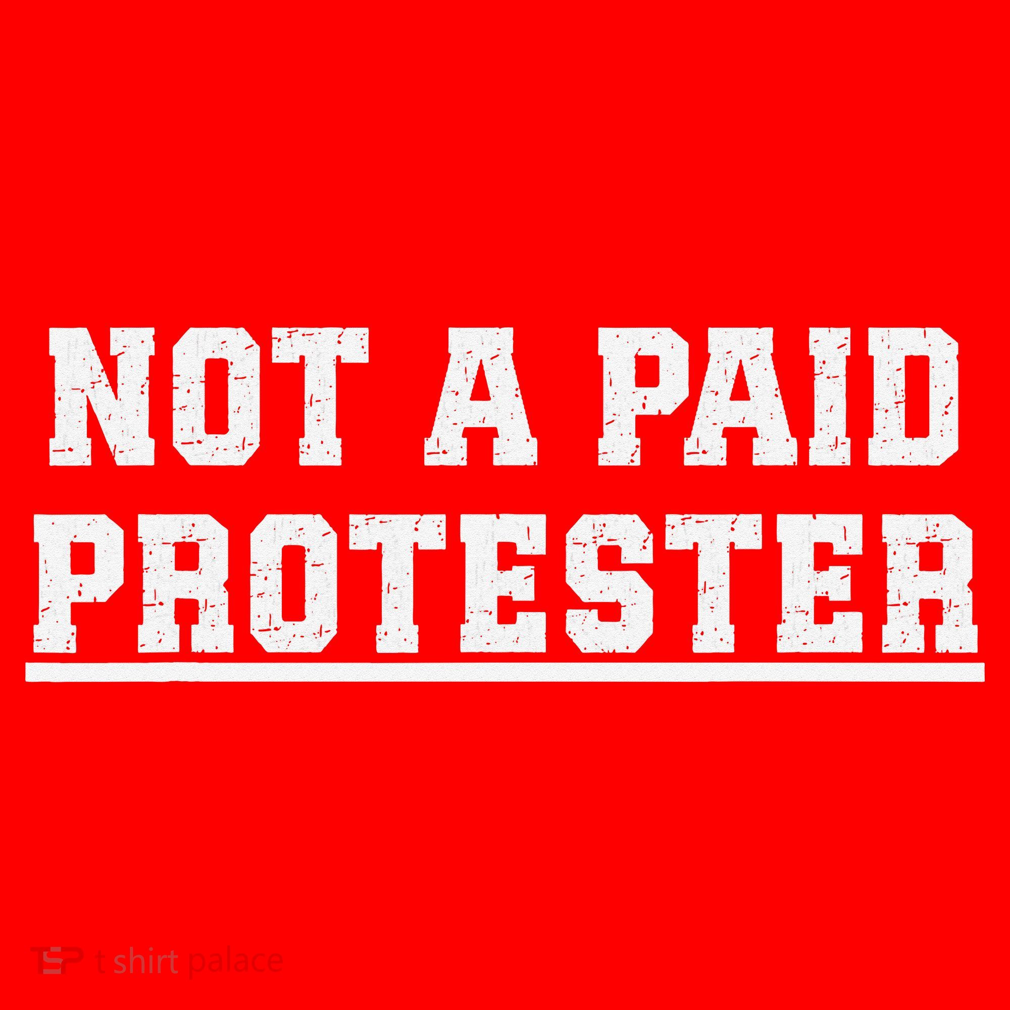 Not A Paid Protester Santa Hat