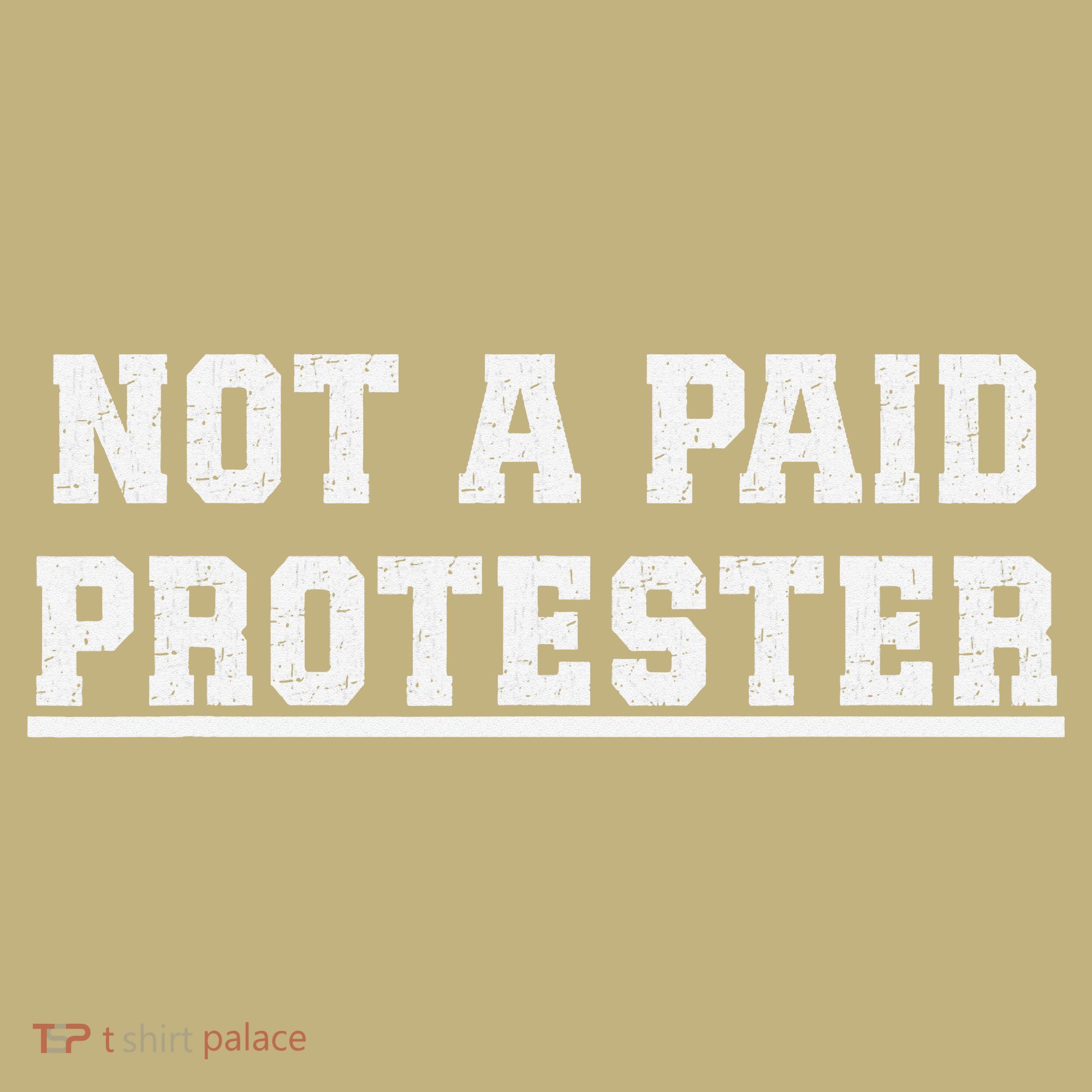 Not A Paid Protester Hoodie