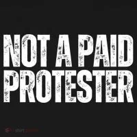 Not A Paid Protester Toddler Hoodie thumb 2