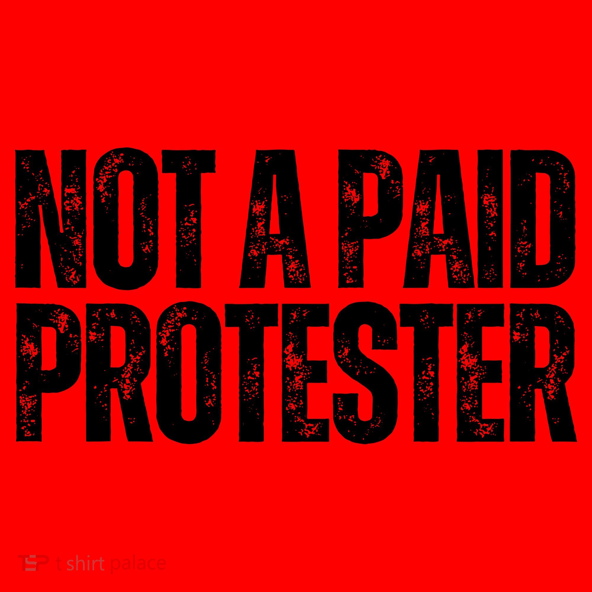 Not A Paid Protester Santa Hat
