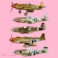North American P51 Mustang WW2 Fighter Coaster thumb 2