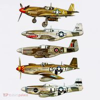 North American P51 Mustang WW2 Fighter Hoodie thumb 7
