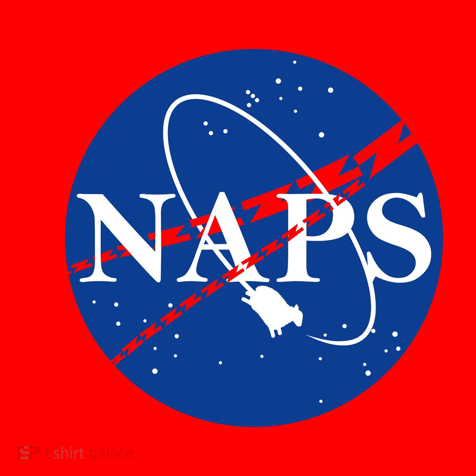 NAPS Space Parody Logo Santa Hat
